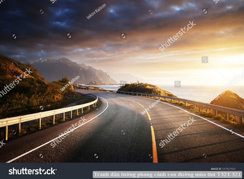 Tranh dán tường phong cảnh con đường mùa thu T321-321